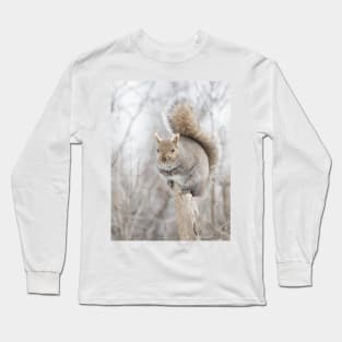 Grey Squirrel on a tree stump Long Sleeve T-Shirt